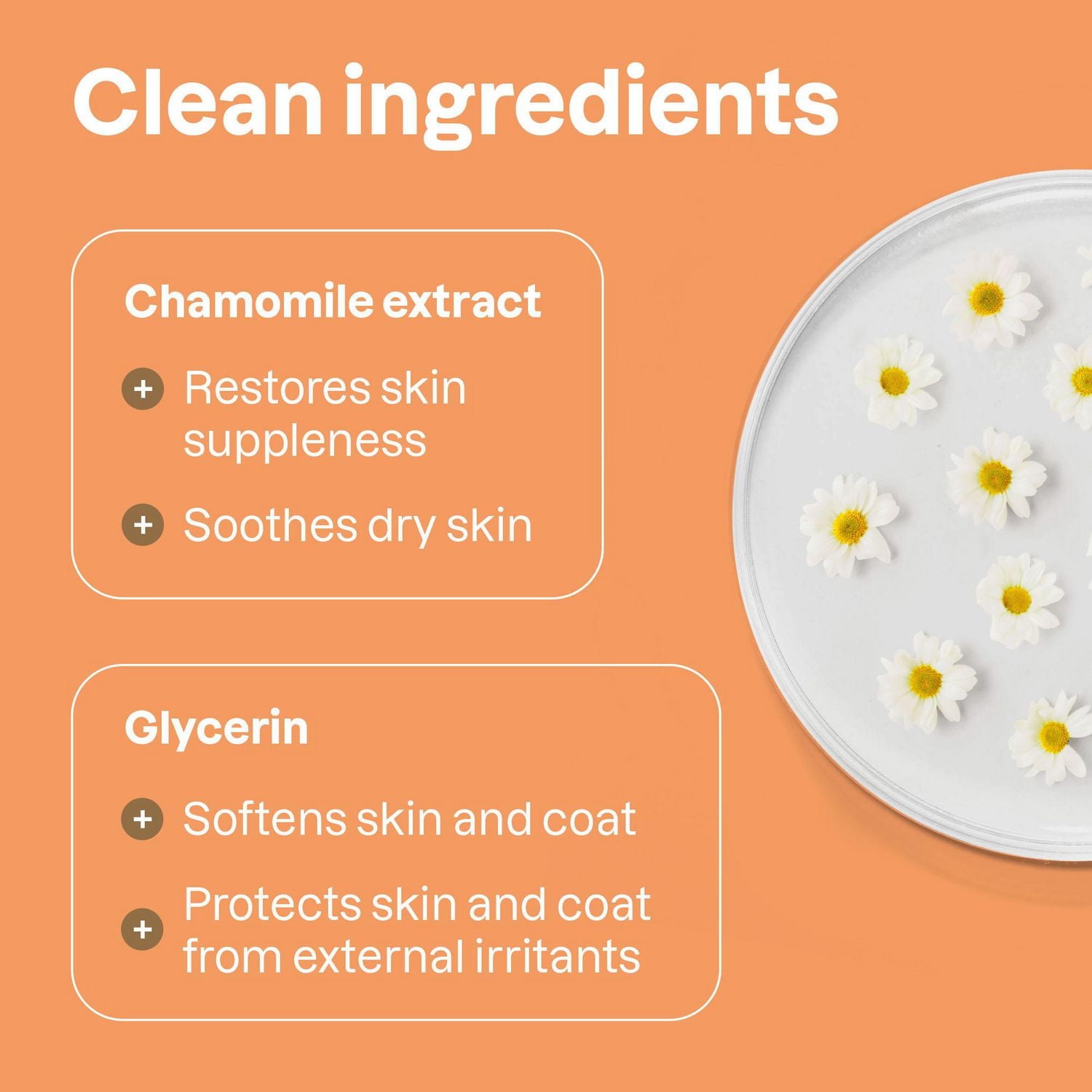 ATTITUDE Furry Friends, Shampoing sec, Désodorisant, Lavande, Soins pour animaux, Shampoing pour chiens, 473 mL