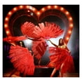 thumbnail image 7 of Large Femina Feather Fan Costume Folding Hand Fan Decorative FoldingFan Feather Fan Feather Fans for Burlesque, 7 of 7