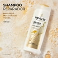 thumbnail image 4 of Shampoo Pantene Molecular Bond Repair para cabello muy dañado y débil 300 ml, 4 of 5