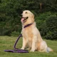thumbnail image 1 of Collar De Perro Y Set De Correa De Entrenamiento 130, 1 of 4