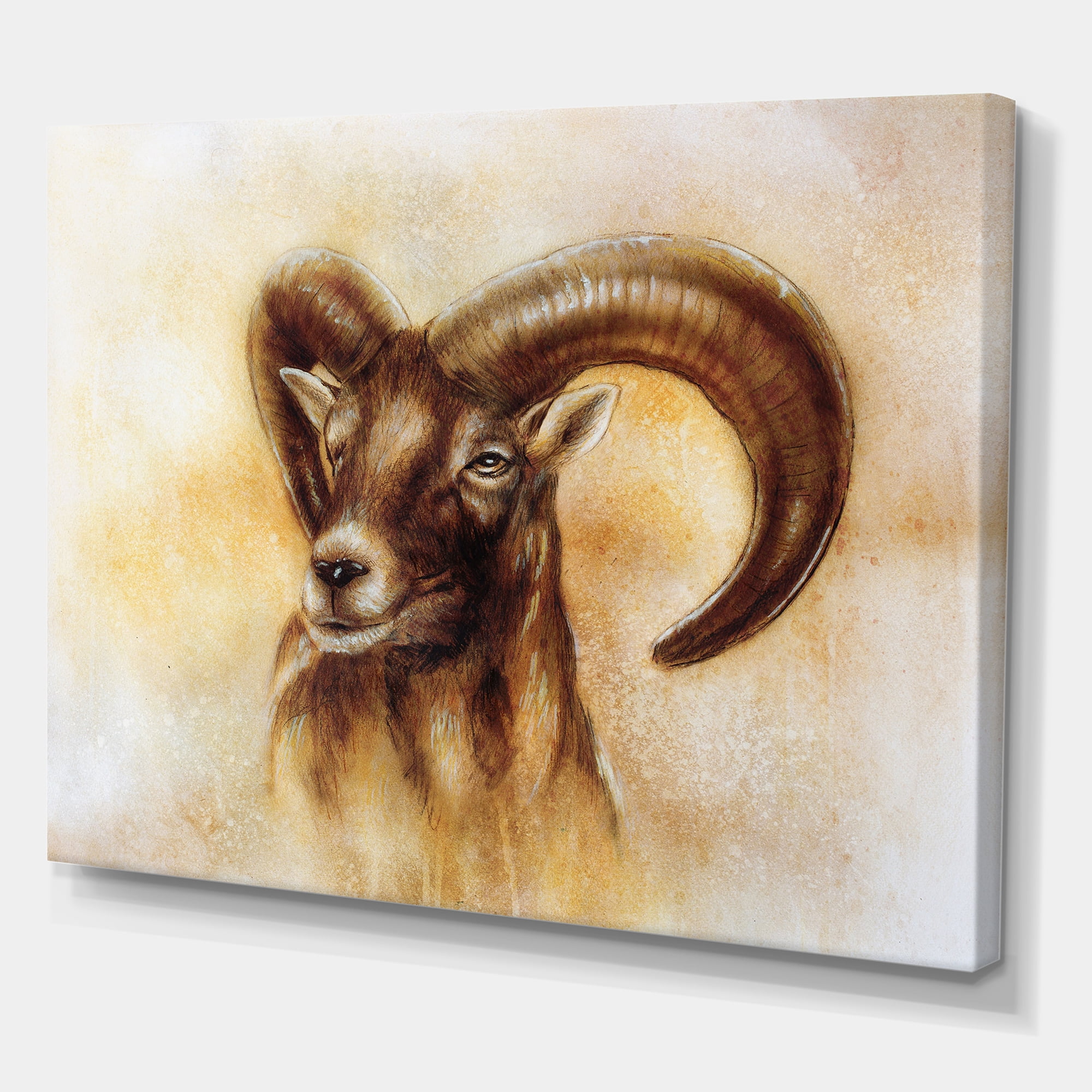 Designart ' Abstract Portrait of Wild Ram With Mighty Horns I ' Modern Canvas Wall Art Print