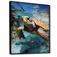 thumbnail image 2 of Designart "Serene Watercolor Depicting A Turtle By The Coast" Animals Turtle Floater Framed Wall Art Living Room, 2 of 5