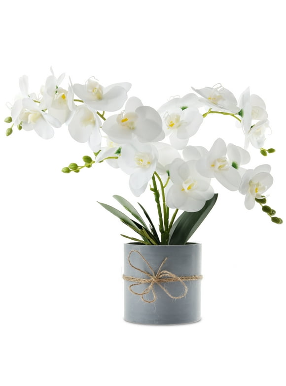 Artificial Plants in Artificial Plants and Flowers