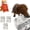 3pcs, variant on Dog Newspaper Toy, 3/5/10 Pcs Indestructible Newspaper with Crinkle Paper and Squeaker Tough Fabric Interactive Pet Chew Boredom Relief Crinkle Dog for Small Medium Breed Puppies (3pcs)