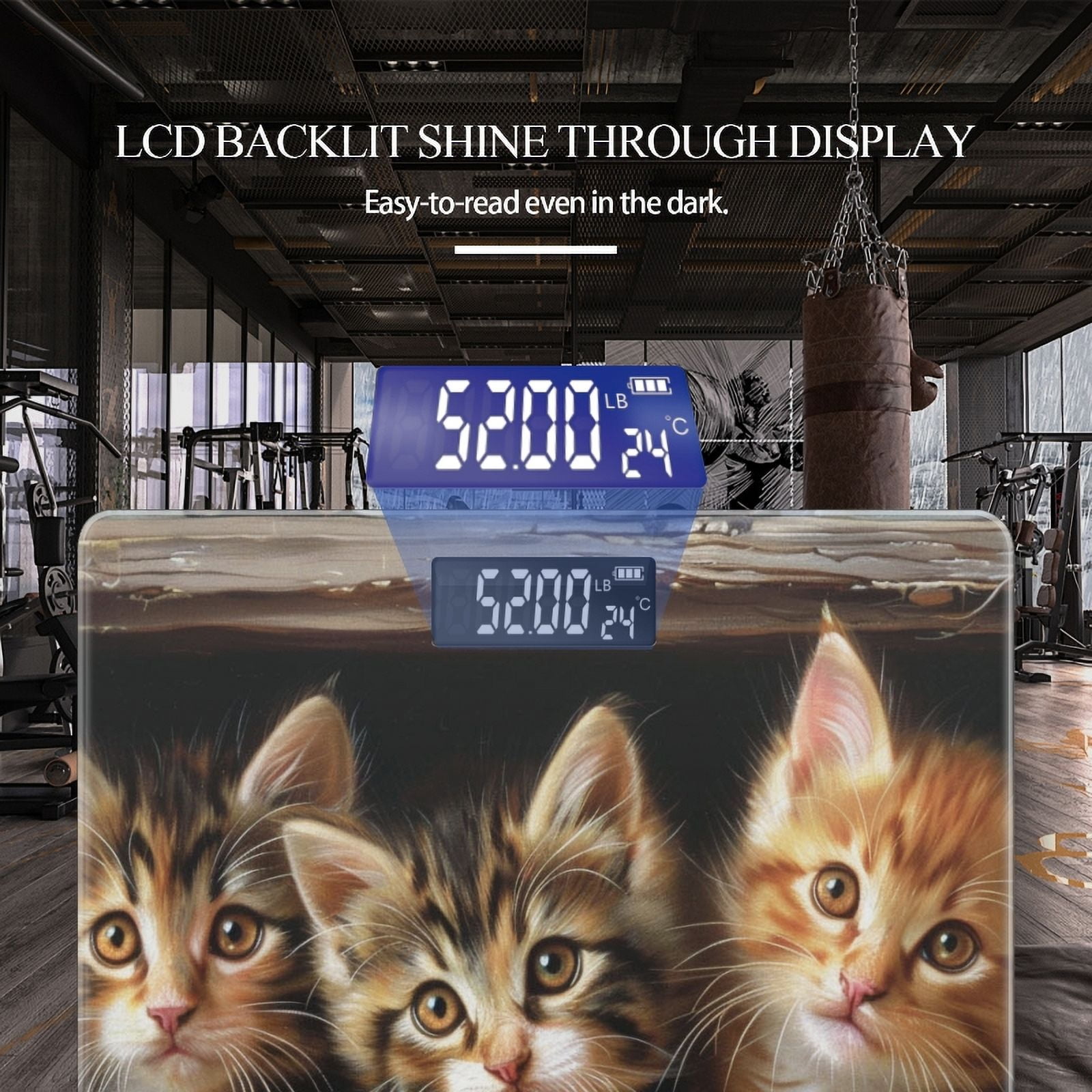 Bathroom Scale, Highly Accurate Digital Body Scale,Precisely Measures Weight up to 400 lbs-Cute Kittens With Long Fur And Big Eyes Sitting In Old Wooden Window