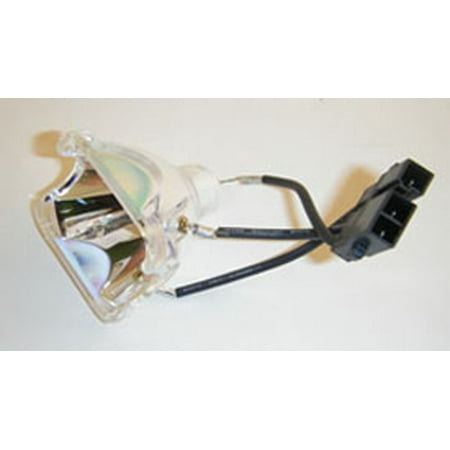 Pj557d Replacement Lamp Module - Replacement for NIKON INTENSILIGHT HG LAMP MODULE