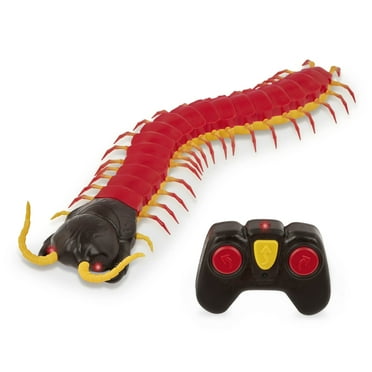 Terra by Battat Radio Control RC Centipede Toy for Child, Kids 6 Years Old