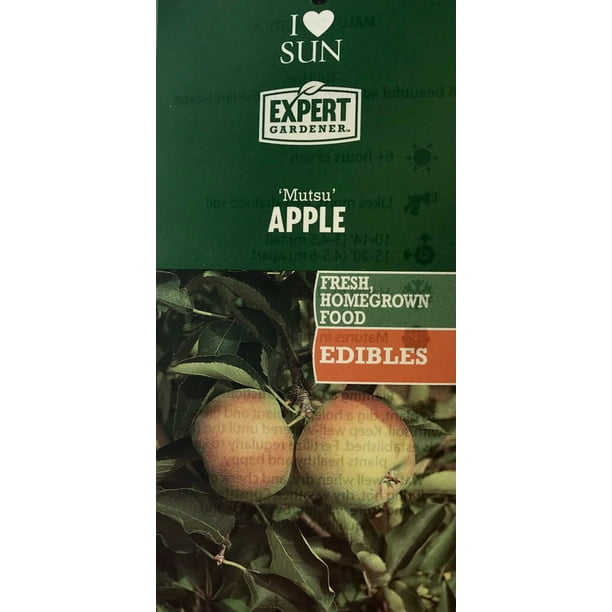 Expert Gardener 3.25G Mutsu Apple Fruit Tree