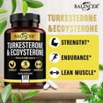 thumbnail image 2 of Balincer Turkesterone & Ecdysterone Supplement, 120 Capsules, Supports Strength, Endurance & Workout, 2 of 9