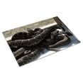 thumbnail image 3 of Print: Rattlesnake Rodeo In Opp, Alabama, 2010, 3 of 4