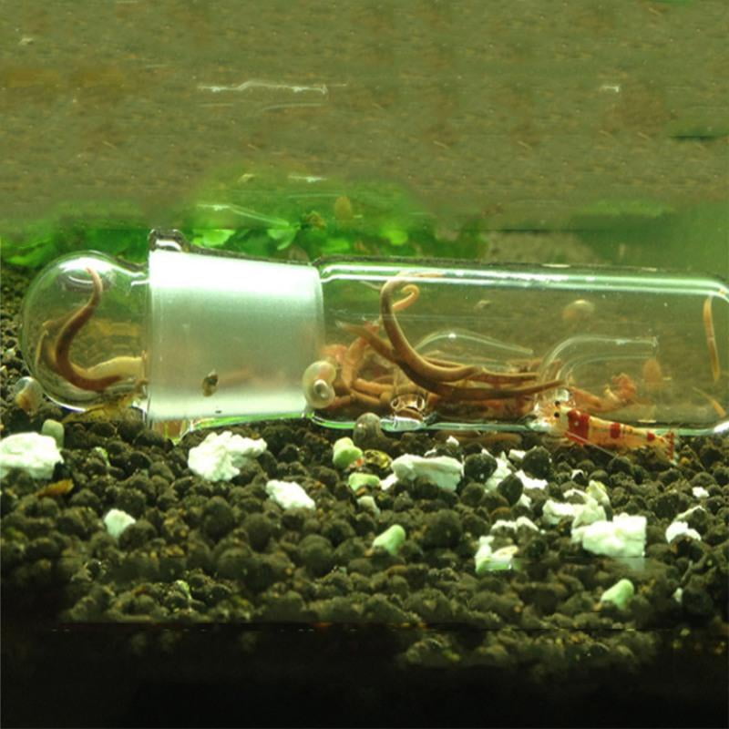Aquarium Worm Trap Fish Tank Pest Catch Trap Leech Catcher For Planarian Flatworm Walmart Com