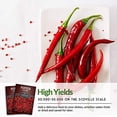 thumbnail image 6 of Survival Garden Seeds - 1 Packet Cayenne Pepper Seed - Non-GMO Heirloom Full Sun Annual Vegetable, 6 of 8