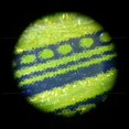 thumbnail image 2 of Microscopio de pluma led 50x portátil de mano lupa joyería moneda lectura Feliz Sencillez, 2 of 5