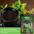 thumbnail image 3 of 5 packs Holy Basil Seeds - Non-GMO Heirloom Full Sun Annual Herb, 3 of 7
