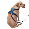 thumbnail image 2 of Kdxio Colorful Underwater Plant Turtle Print No Pull Dog Harness Adjustable Reflective Oxford Easy Control Medium Large Dog Harness for Training and Everyday-Small, 2 of 6