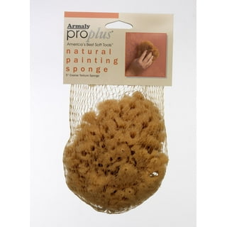 Natural Sea Sponges for Artists - Unbleached 5 inch-5.5 inch 2pc Value Pack: Great for Painting Decorating Texturing Sponging Marbling Effects Faux