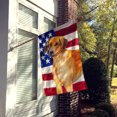 thumbnail image 2 of Carolines Treasures BB9676CHF Rhodesian Ridgeback Patriotic Flag Canvas House Size, 2 of 4