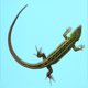 thumbnail image 4 of unbranded Alfombra Para En Terrario De Reptiles Resistencia Y Limpieza Sencilla Color Azul, 4 of 7