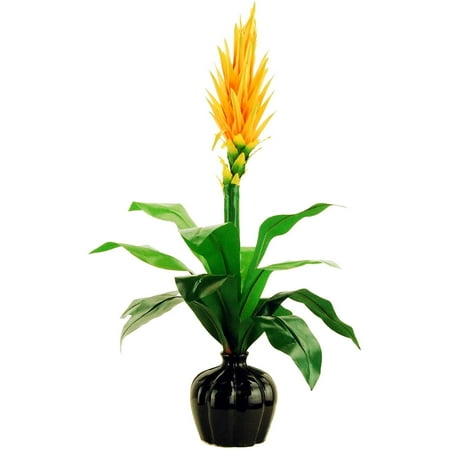 Ribbed Ceramic - 36