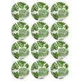 thumbnail image 1 of 30 piezas Plato de hojas de Monstera, 1 of 3