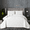White, variant on LLST Microfiber Botanical Quilted Bed Sheet Set, Floral Stitched Bedding with 2 Pillowcases, Queen, Mint Green