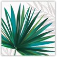thumbnail image 1 of Tropical Palms Fiesta Cocktail Napkins, Palm Oasis Beverage Napkins - 5x5 Inch, 20 Count, 1 of 1