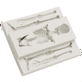 thumbnail image 4 of Skull Skeleton Chocolate Silicone Molds 3D Skeleton Bone Silicone Mold for Candy Cookie Making DIY Bakning, 4 of 6