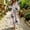 Pink, variant on Ayolanni 3/4 Sleeve Fall Dresses for Women V Neck Plus Size A-Line Maxi Dresses Floral Weekend Elegant Beach Long Dress Pink L