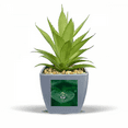 thumbnail image 1 of Dewdrop Nature Image Faux Pot de Fleurs Ananas Mini Décor, 1 of 3
