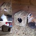 thumbnail image 2 of Casa de césped para animales pequeños Hamiledyi, 2 unidades, pastos marinos naturales, 2 of 7