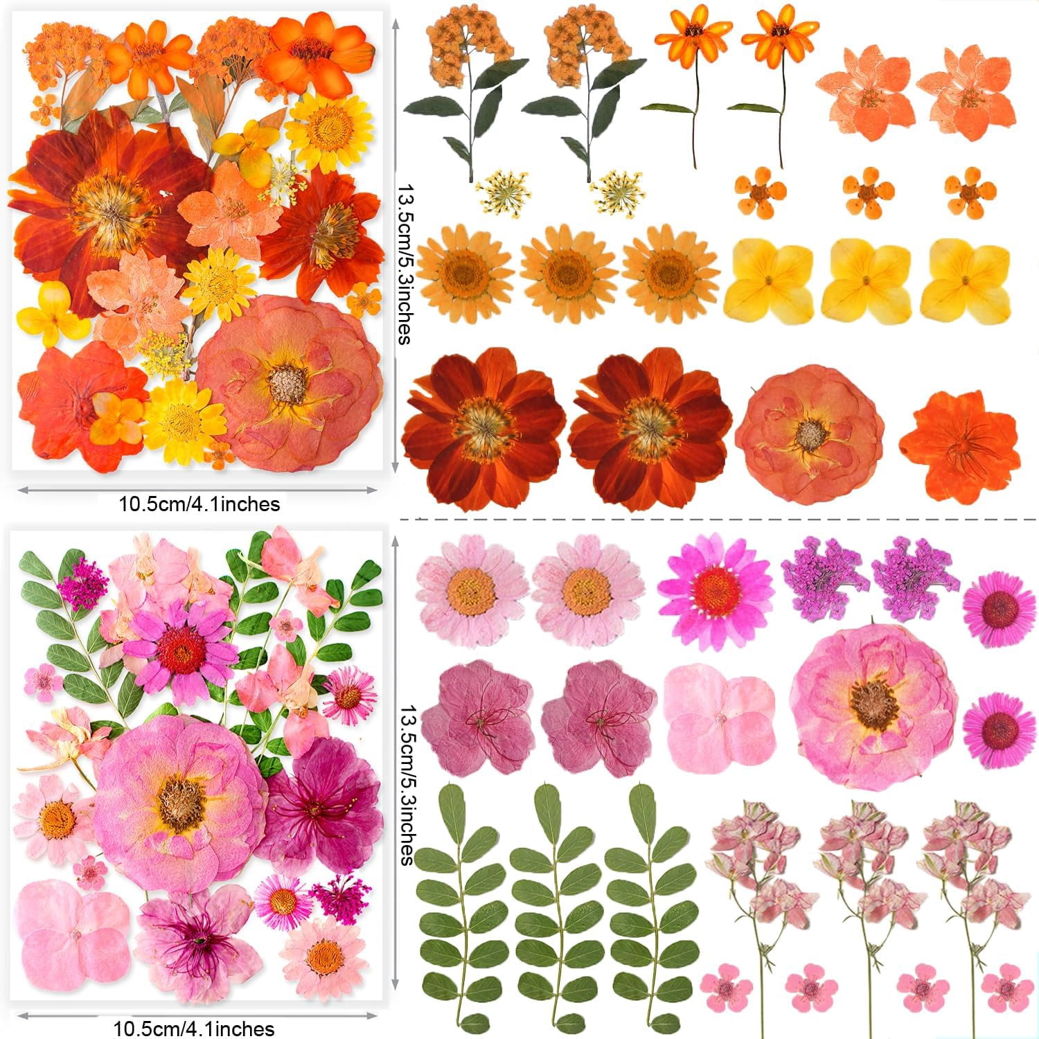 269PCS Dried Pressed Flowers for Resin Craft - Real Nature Flowers Set with Butterfly Stickers for DIY Jewelry Nail Scrapbook Art Floral Decors Iridescent