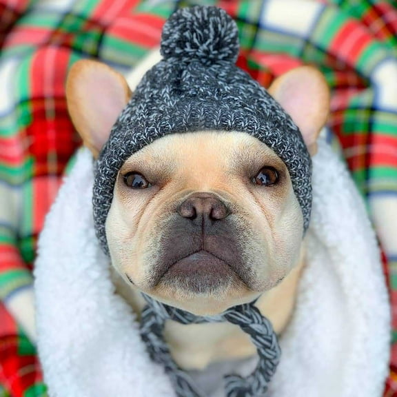 Pet Supplies Pet Hat And Winter Wool Ball Warm Windproof Pompon Ball Knitting Dog Fighting Hat New Pet-M