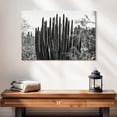 thumbnail image 2 of Elephant Stock Black Arizona - Big Cactus Wall Art - Horizontal Canvas Wall Art - Living Room Wall Decor - Floral And Botanical Canvas - Black And Gray Decor By Philippe Hugonnard - 24" x 16", 2 of 8