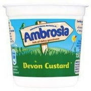 Ambrosia Devon Custard Pot 150G