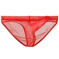 thumbnail image 1 of ylioge Mesh Underwear for Men Lightweight Low Rise High-Cut Breathable See-Through Solid Color Comfort Hipsters Briefs, 1 of 2