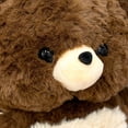 thumbnail image 7 of Jiibva Plush Bear Backpack Teddy Bear Doll Bag Multifunctional Plush Backpack Cartoon Animal Backpack Purse Gifts, 7 of 7