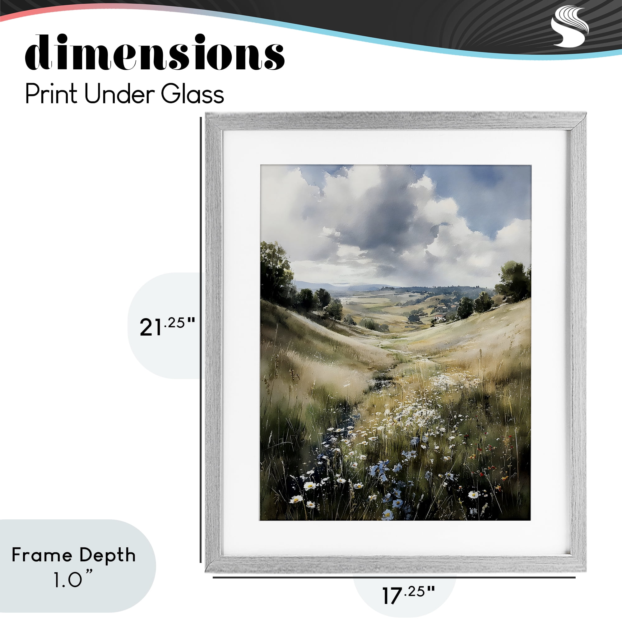 Stupell Industries Floral Valley of Wild Daisies Gray Framed Print Under Glass, design by Franklyn Gregory