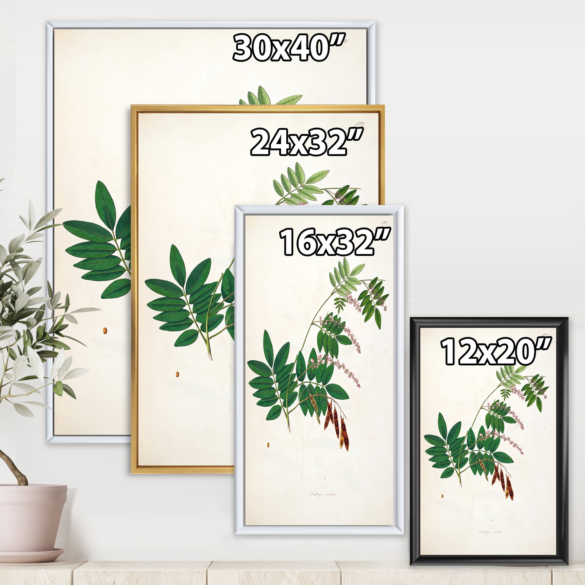 Designart 'Ancient Botanicals XI' Farmhouse Framed Canvas Wall Art Print