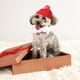 thumbnail image 3 of EeaseMX Pet Christmas Red Hat Gorro de lana de punto cálido con orificios para las orejas para cachorro de perro gato, 3 of 8