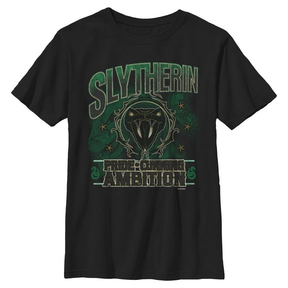 Boys Harry Potter Slytherin Pride and Ambition T Shirt