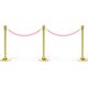 thumbnail image 5 of Cuerda de control de multitudes de terciopelo rosa de 4 pies de Uxcell con ganchos de resorte, paquete de 2 dorados, 5 of 6