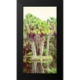 thumbnail image 2 of Coppel, Anna 14x24 Black Modern Framed Museum Art Print Titled - Silent Stream, 2 of 5