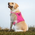thumbnail image 7 of Jewyow No Pull Dog Harness, Adjustable Dog Vest with Soft Padding, Heavy Duty Dog Harness for Small, Medium, Large Dogs(Pink,M), 7 of 7