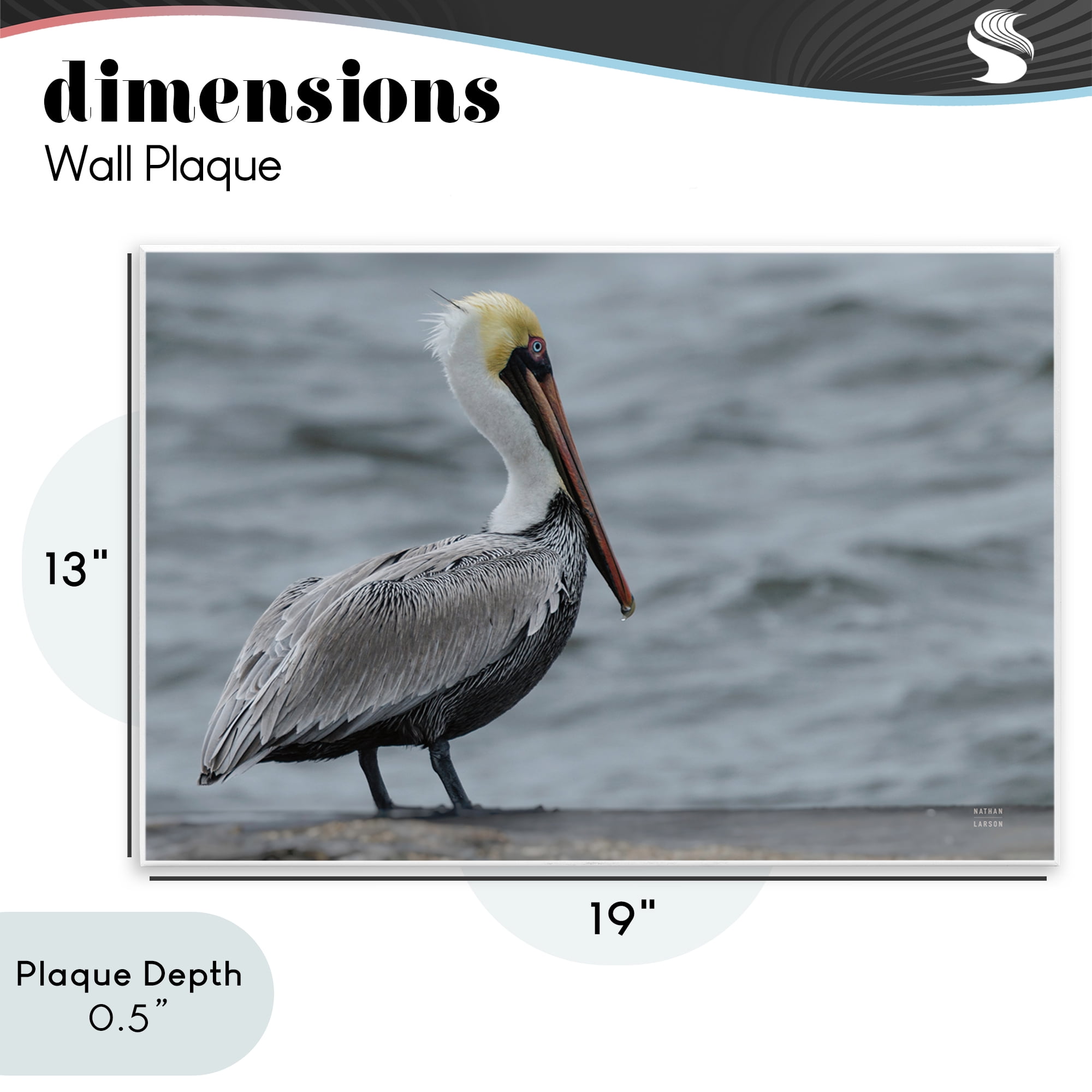 Stupell Industries Pelican Watch Photography Wall Plaque Art, design by Nathan Larson
