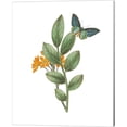 thumbnail image 5 of Great Art Now Greenery Butterflies by Wild Apple Portfolio 4 Piece Canvas Art Set Each 12W x 15H, 5 of 5