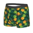 thumbnail image 2 of Disketp Pineapples With Palm Leaves Men'S Boxer Briefs,Soft And Breathable Cotton Underwear With Comfortflex Waistband, 2 of 8