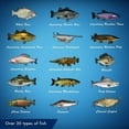 thumbnail image 3 of Videojuego Nintendo Switch Legendary Fishing Ubisoft, 3 of 5