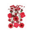 thumbnail image 2 of segolike Dried Pressed Flowers Craft Making Beautiful Real Dried Flowers for Scrapbooking Red, 2 of 9