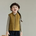 thumbnail image 5 of Chenyin Kids Baby Girls down Vest Toddler Solid Color Puffer Waistcoat Winter Zipper Sleeveless Jacket for 1-9 Years, 5 of 9