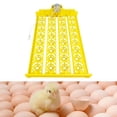 thumbnail image 3 of de huevos Bandeja volteadora automática de huevos de huevos Temperatura de de corral 12V Zulema Bandeja giratoria automática para huevos, 3 of 7
